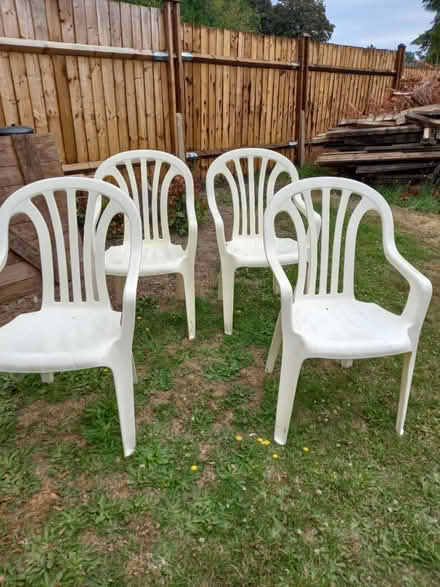 Photo of free Garden chairs (Cranleigh GU6 7AJ) #1