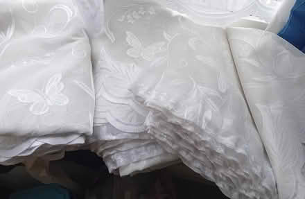 Photo of free Old Butterfly Net Curtains (Parkstone BH12) #1