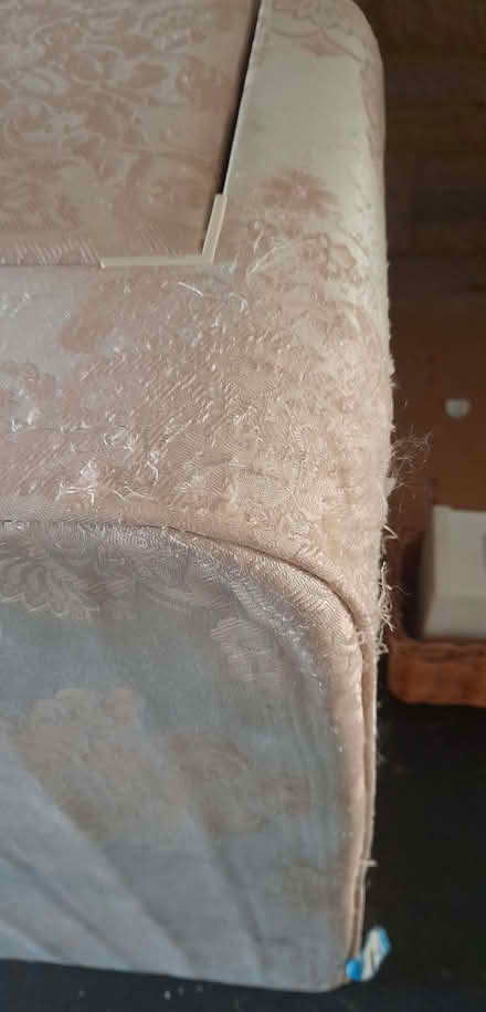 Photo of free Single divan bed with mattress (Henwick WR2) #2