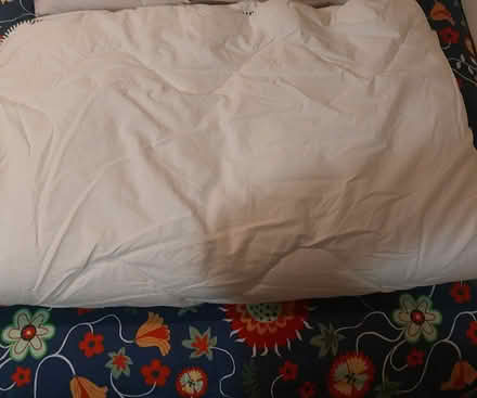 Photo of free Twin-size quilt/duvet (Beaches, Toronto) #1