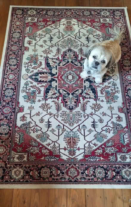 Photo of free Oriental rug (Clarendon Park, Leicester) #2