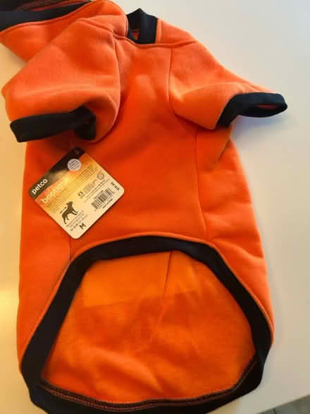 Photo of free Small dog Halloween costume (New Rochelle) #1