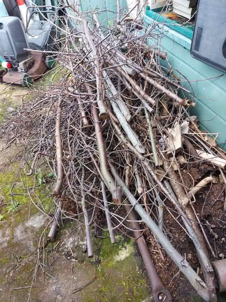 Photo of free Tree Branches for Firewood (Guide Bridge OL7) #3