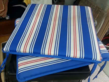 Photo of free Patio chair cushions (Bawdrip TA7) #1
