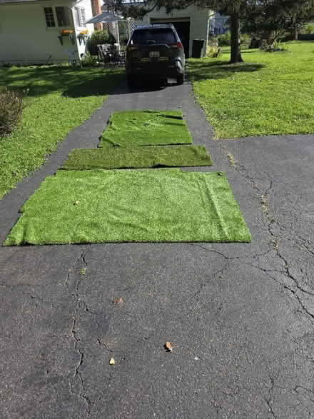 Photo of free Artificial turf (Randallstown) #1