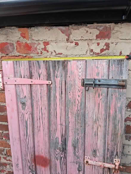 Photo of free Shed door (mansfield woodhouse NG19) #2