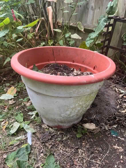 Photo of free Large plastic planter (New Marston OX3) #3