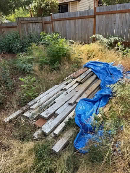Photo of free Drywall, Flooring, Misc Wood (Olympic Hills North Seattle) #2