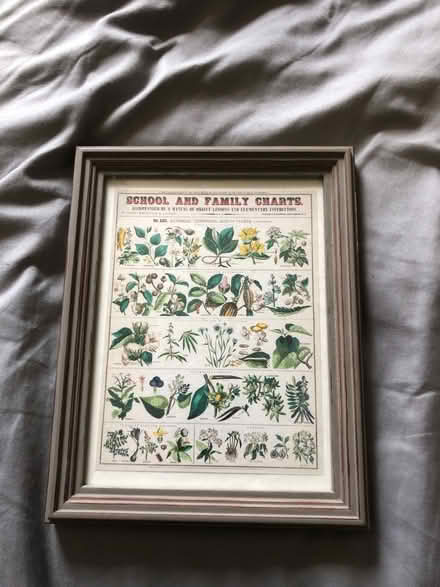 Photo of free Picture frame& picture (NR2) #1