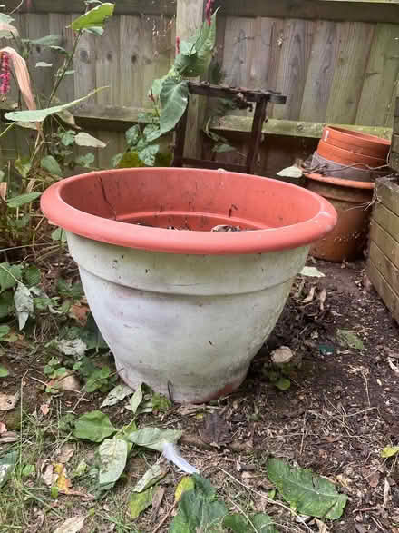 Photo of free Large plastic planter (New Marston OX3) #2