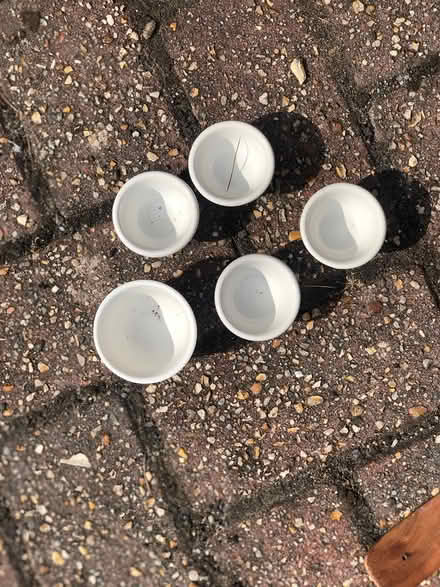 Photo of free ceramic bowls (Frome and surrounding) #1