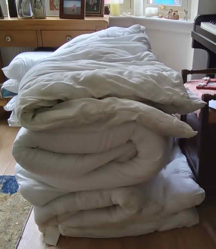 Photo of free Duvets and pillows (Douglas, Cork city) #2