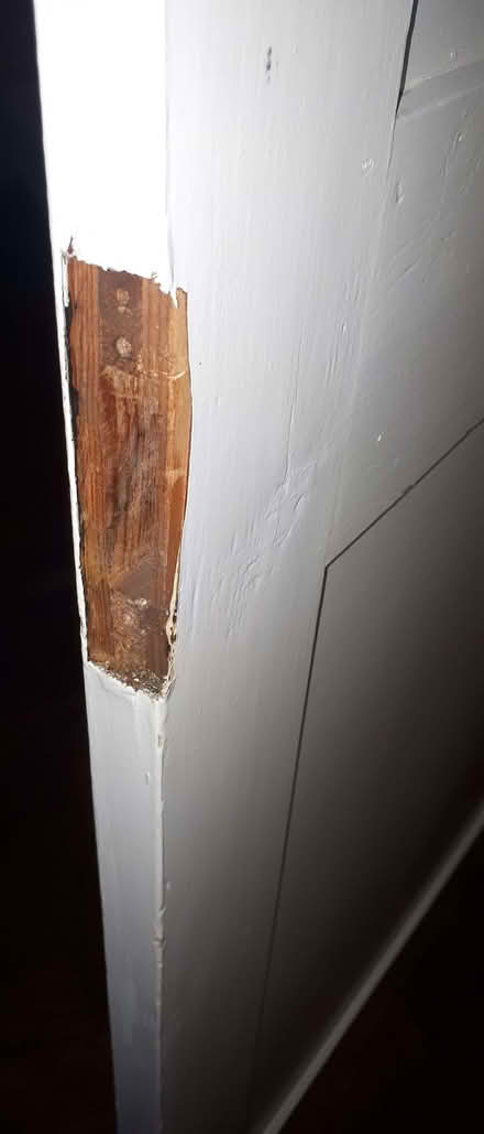 Photo of free Small internal door (Porthill SY3) #1