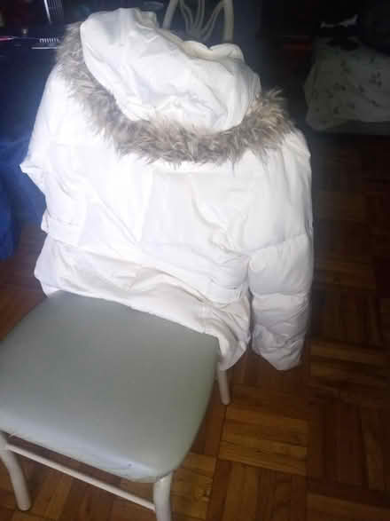 Photo of free Winter is coming (NE Yonkers) #4