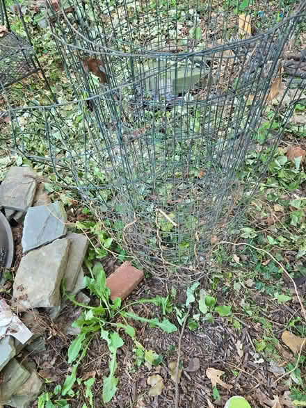 Photo of free Garden fencing (Mount Rainier) #1