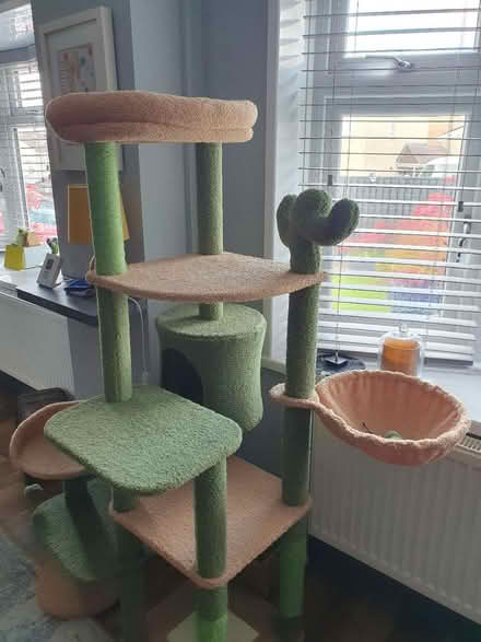 Photo of free Cat tree (Ebbw vale, Rassau NP23) #1