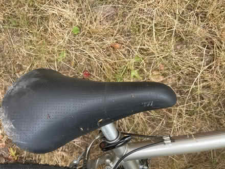 Photo of free bicycle, Novara alance expresso (maple leaf lake city way) #3
