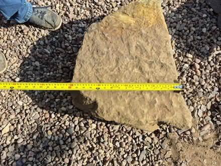 Photo of free Large rockery stone (Mosborough S20) #2