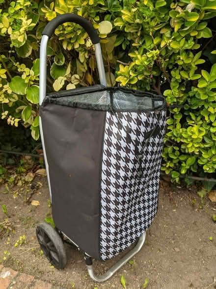 Photo of free shopper trolly (sandycove recycle depot) #3