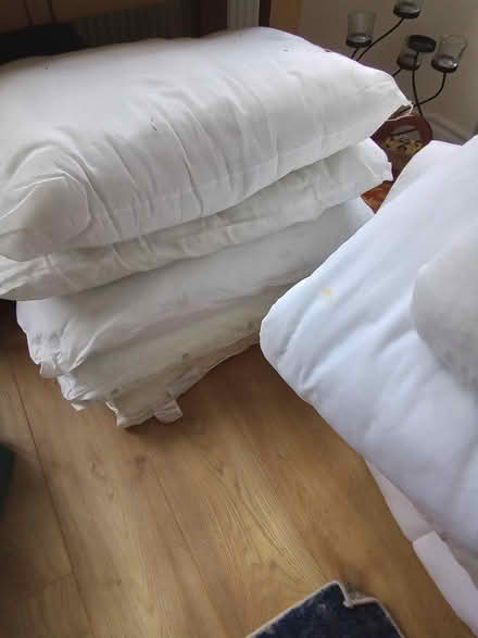 Photo of free Duvets and pillows (Douglas, Cork city) #1