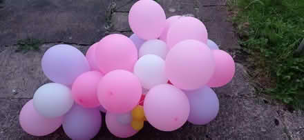 Photo of free Party Balloons (Wycombe centre HP11) #2