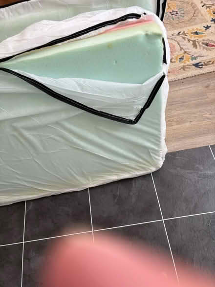 Photo of free Large sofa seat cushions (Victoria rd Edmonton N9) #1