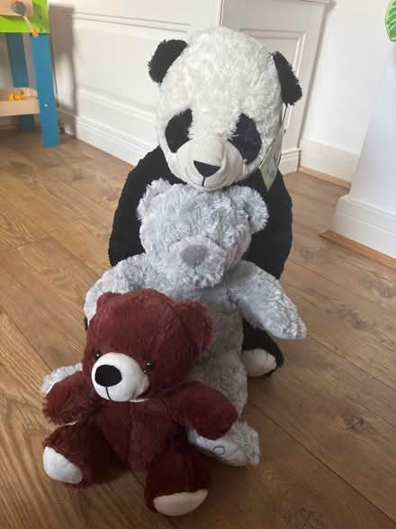 Photo of free Soft toys (Eckington S21) #1