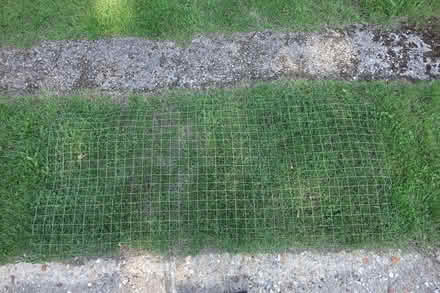 Photo of free Wire mesh (Great Fransham NR19) #3