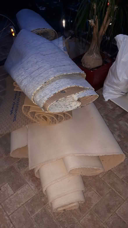 Photo of free Carpet & underlay (Porthill SY3) #3