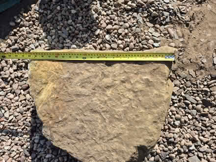 Photo of free Large rockery stone (Mosborough S20) #3