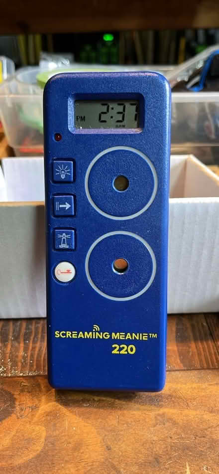 Photo of free Screaming Meanie 220 (Near Marshall Road School) #2