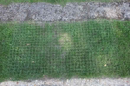 Photo of free Wire mesh (Great Fransham NR19) #1