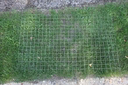 Photo of free Wire mesh (Great Fransham NR19) #2