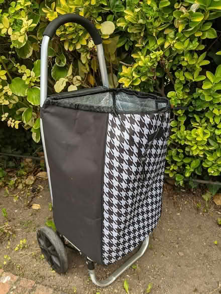 Photo of free shopper trolly (sandycove recycle depot) #4