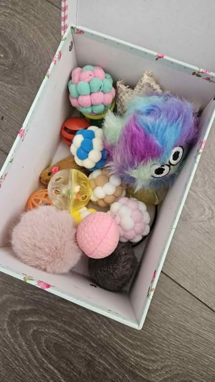 Photo of free Cat toys (Barden Park, Tonbridge) #1