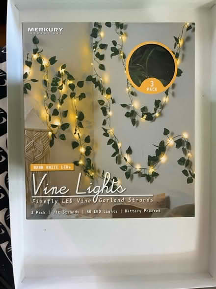 Photo of free Vine lights (Spring Hill) #1