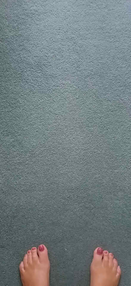 Photo of free Large green carpet (Cheadle Hulme SK8) #1