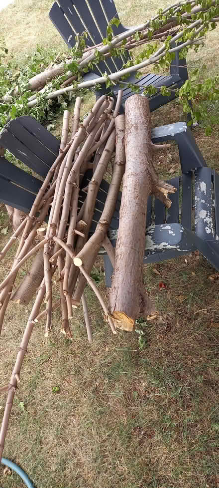 Photo of free Wood (North York: Bathurst Manor) #1