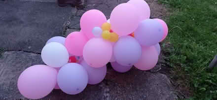 Photo of free Party Balloons (Wycombe centre HP11) #3