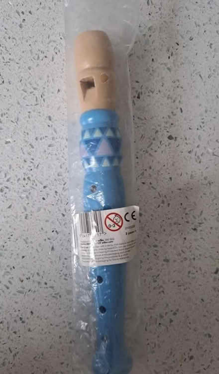 Photo of free Kids Flute/Recorder (TS8 9FP) #3