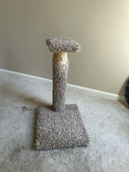 Photo of free Cat tree (Paramus) #1