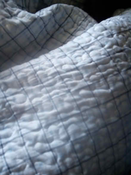 Photo of free QueenS throw+Fitted sheets(doubleS) (Edinburgh EH17) #3