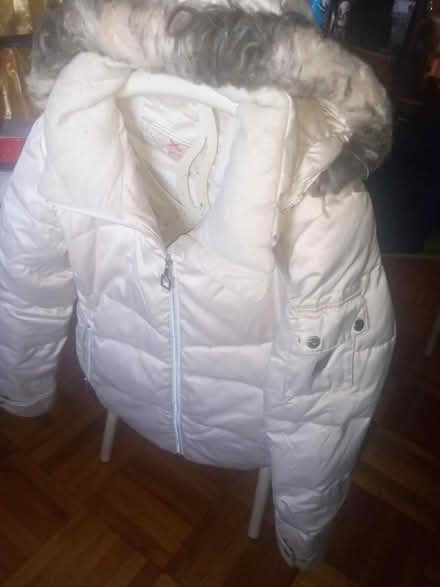 Photo of free Winter is coming #3 (NE Yonkers) #1