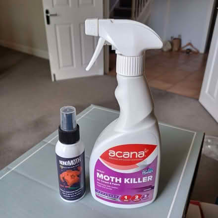 Photo of free moth killers for clothes moths/carpet moths (Summertown OX2) #1