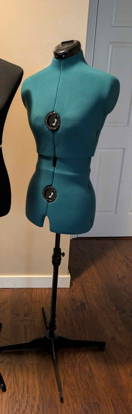 Photo of free Adjustable Dress Form (near Boeing Creek Park) #1