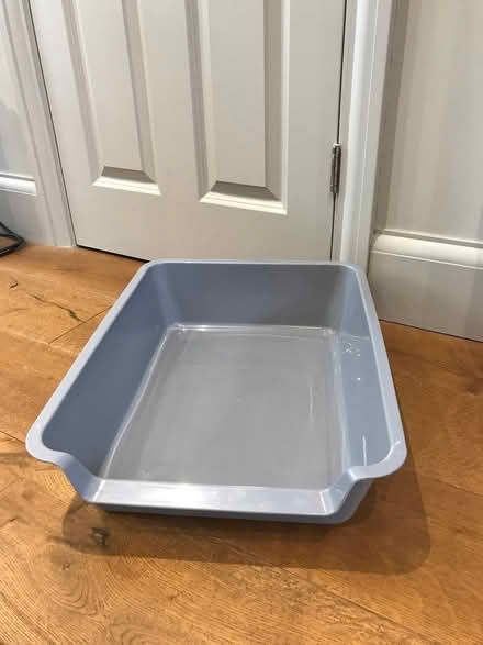 Photo of free Cat litter tray for easy access (Mountier Court E11) #1