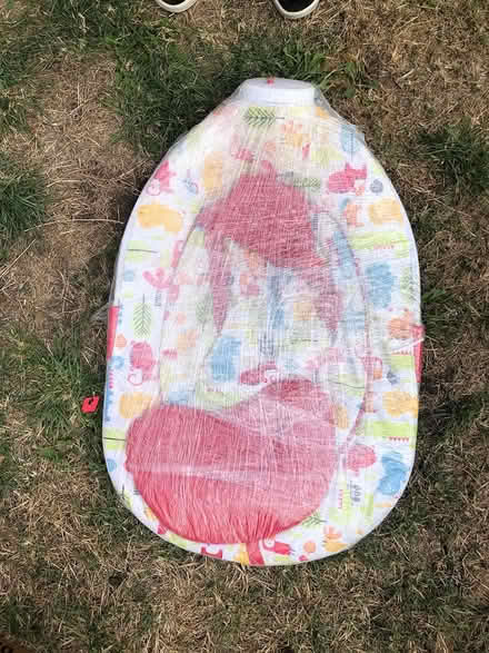 Photo of free Snuggle baby baby bouncer (Frome and surrounding) #2