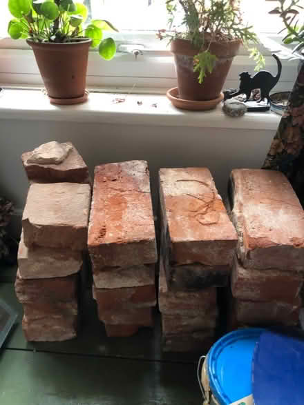 Photo of free Bricks & cork tile off cuts (NR2) #2