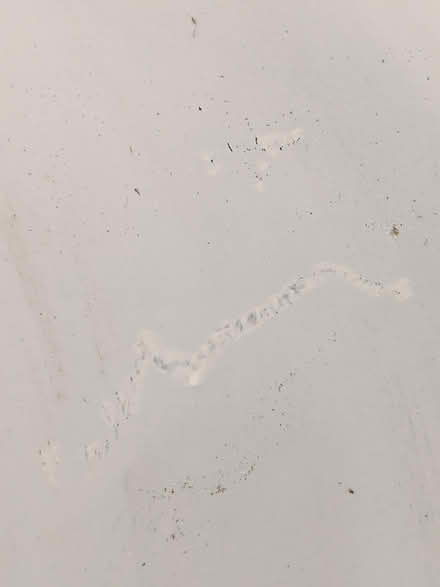 Photo of free Semi-Flush Mount Light (McKellar Park/Westboro) #2