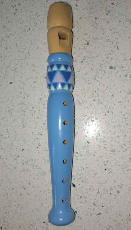 Photo of free Kids Flute/Recorder (TS8 9FP) #1